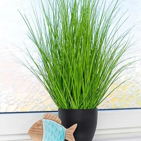 Apartment Strandkorb 5 Bensersiel